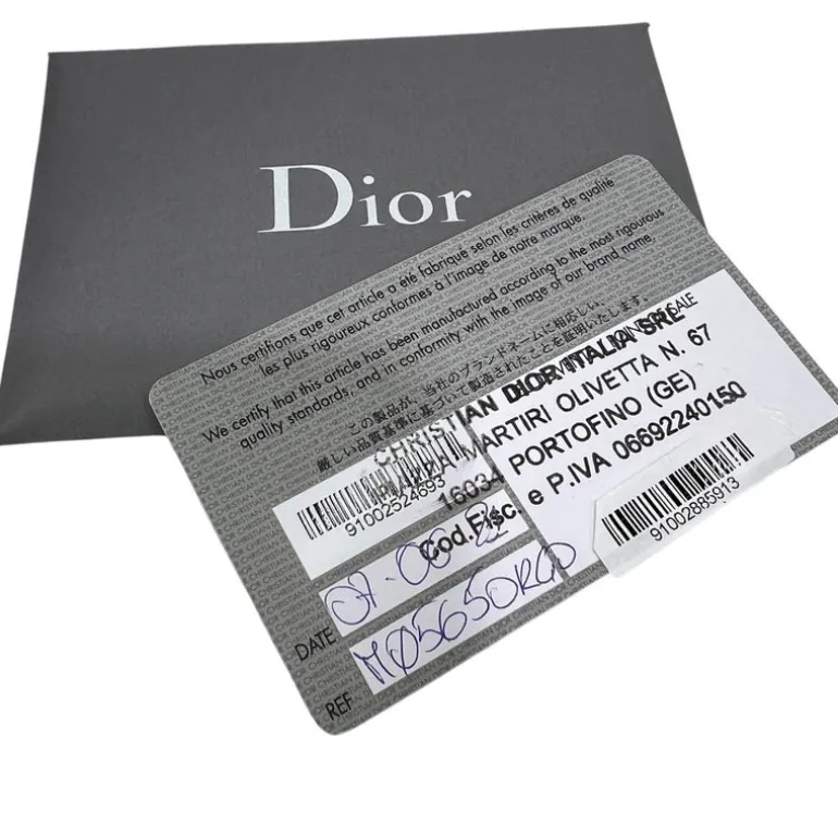 DIOR LADY D-LITE CON RICAMO TOILE DE JOUY REVERSE BLU